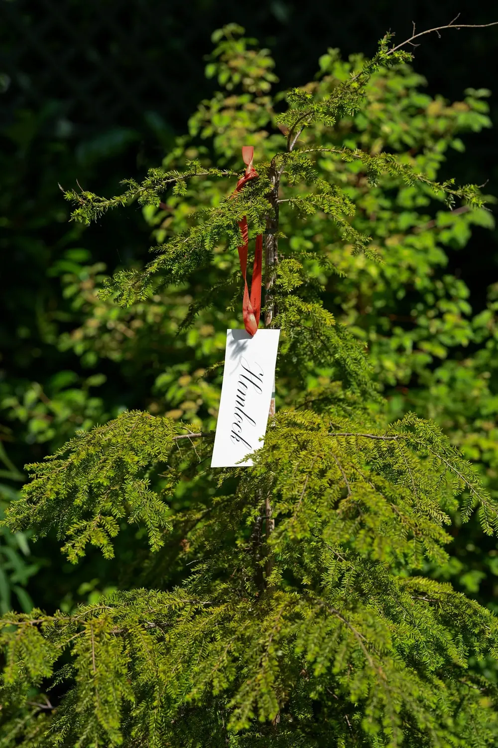 Ormonde Jayne Perfumer's Garden Experience 90min