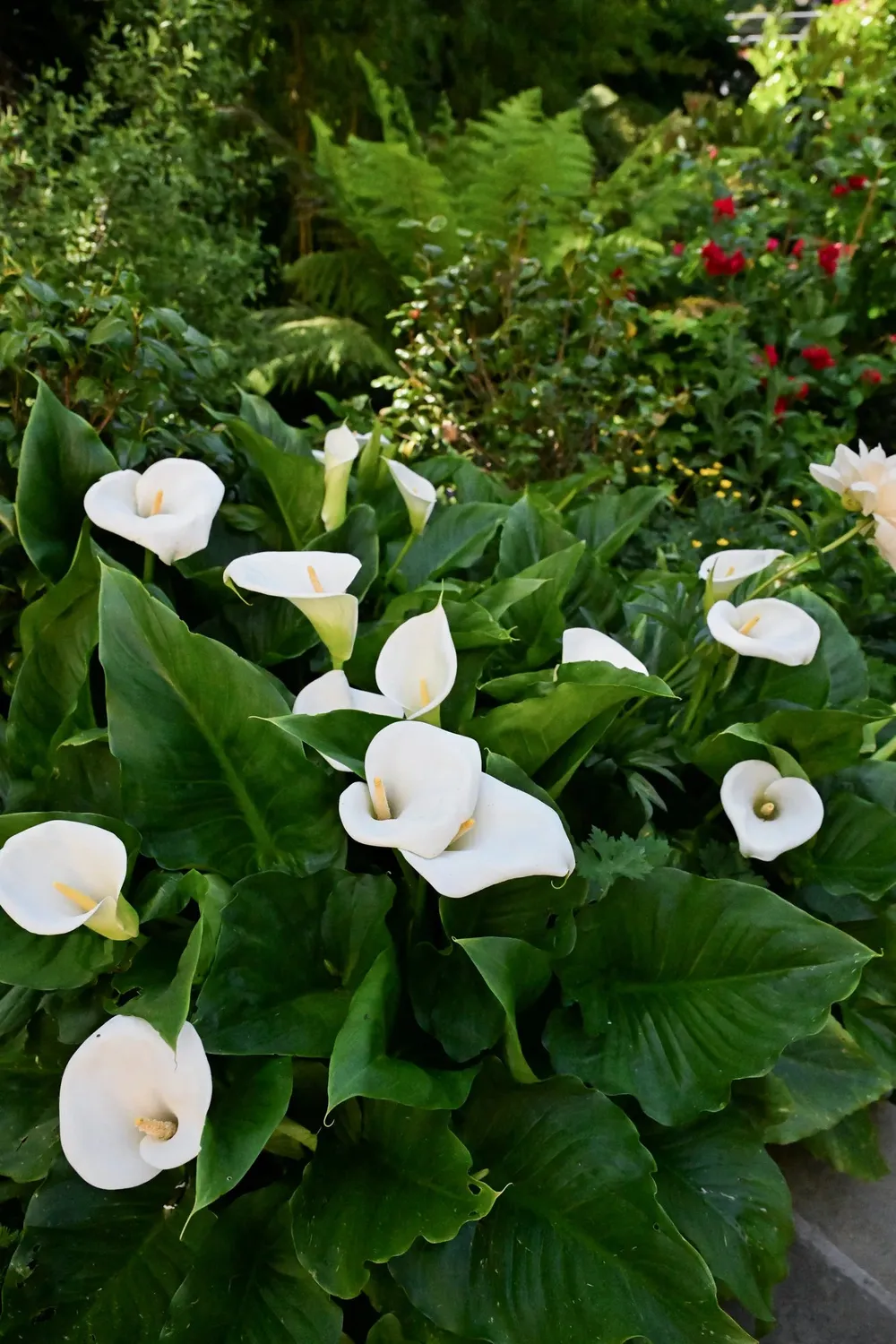 Ormonde Jayne Perfumer's Garden Experience 90min