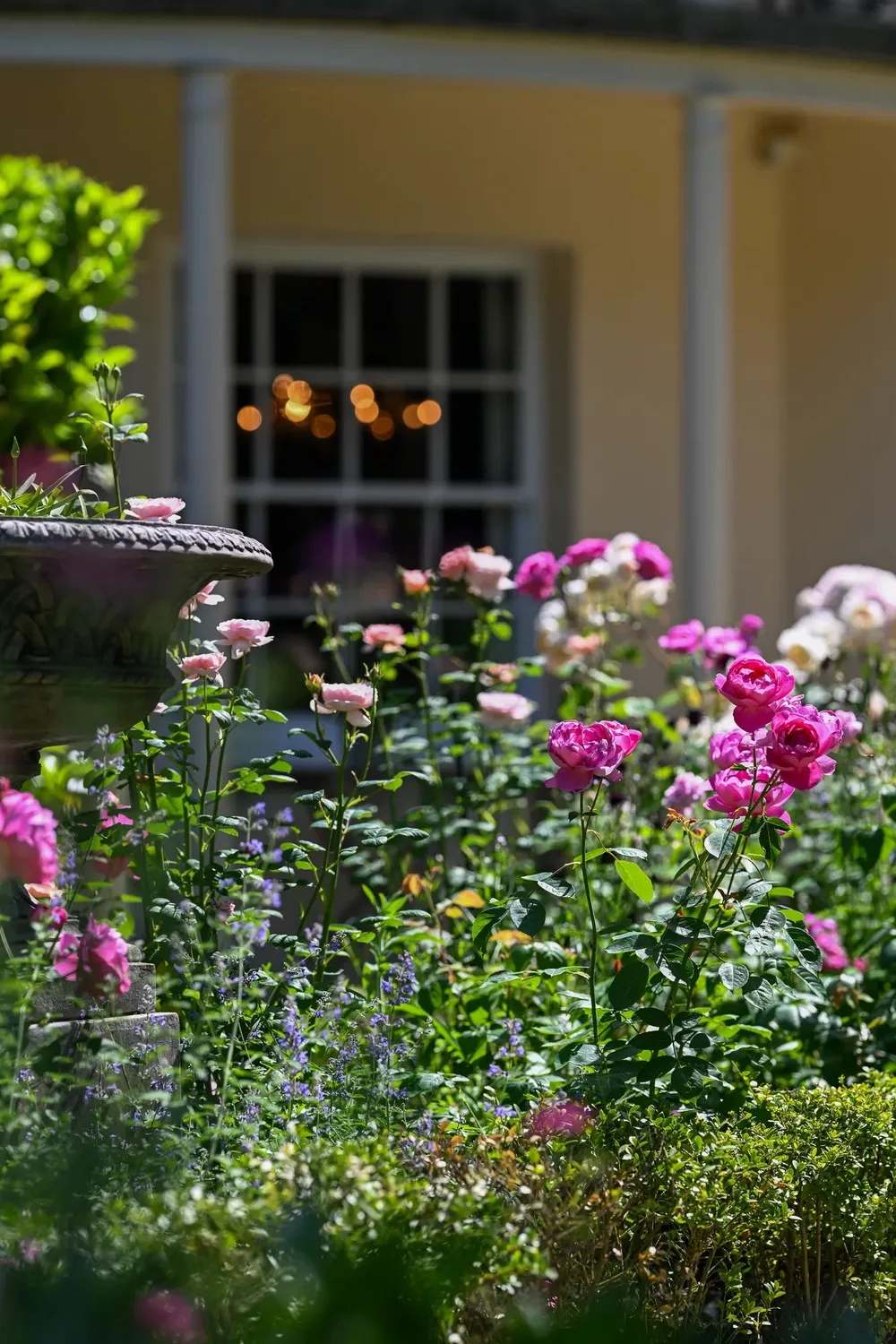 Ormonde Jayne Perfumer's Garden Experience 90min