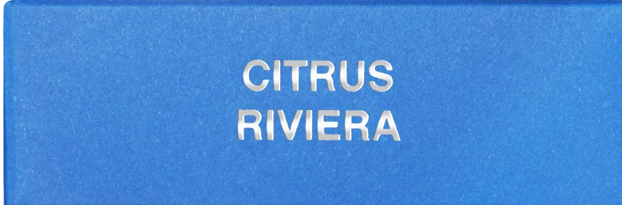 BDK Citrus Riviera parfymprov fräsch citrus