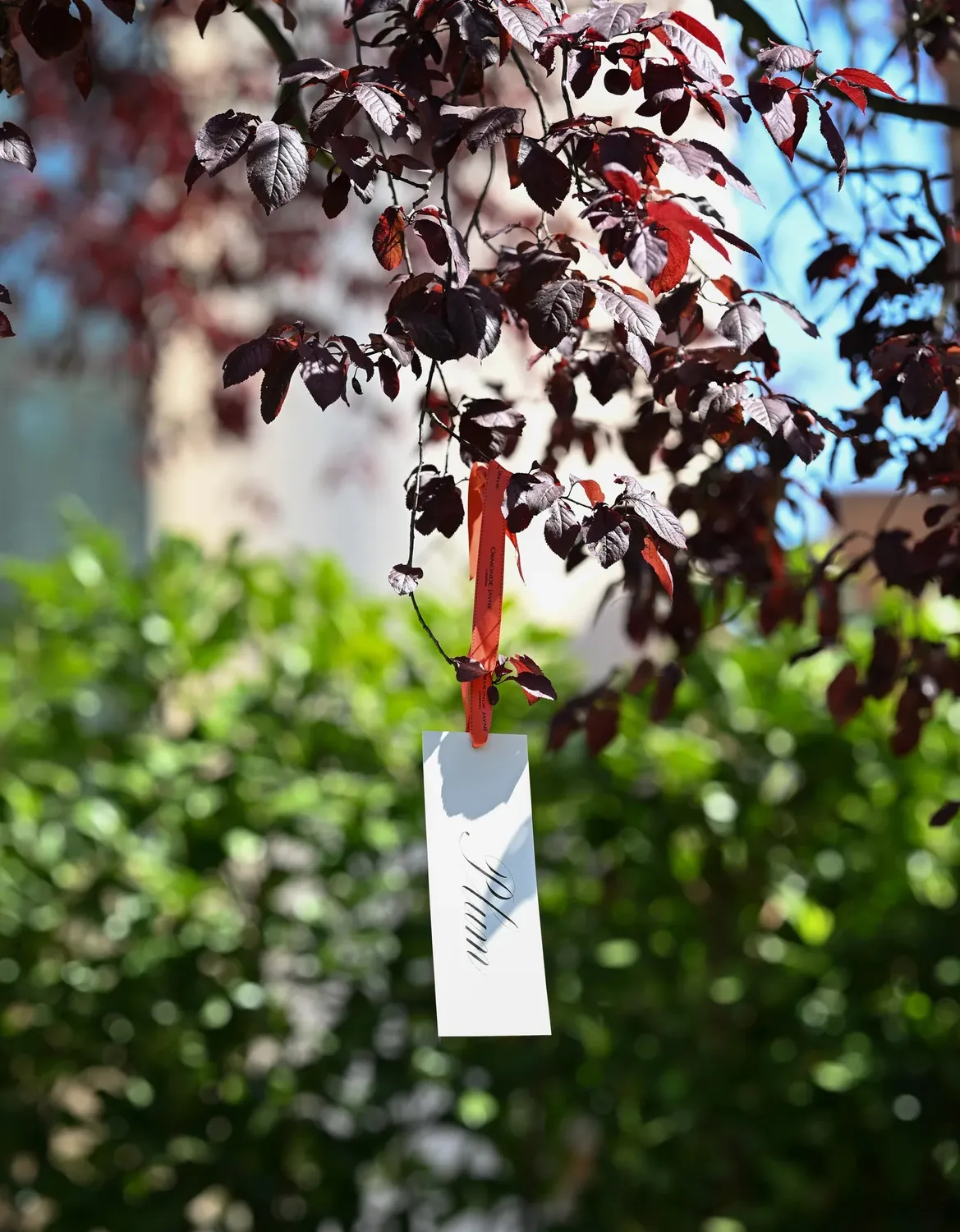 Ormonde Jayne Perfumer's Garden Experience 90min